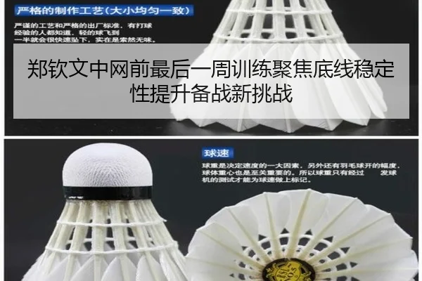 郑钦文中网前最后一周训练聚焦底线稳定性提升备战新挑战